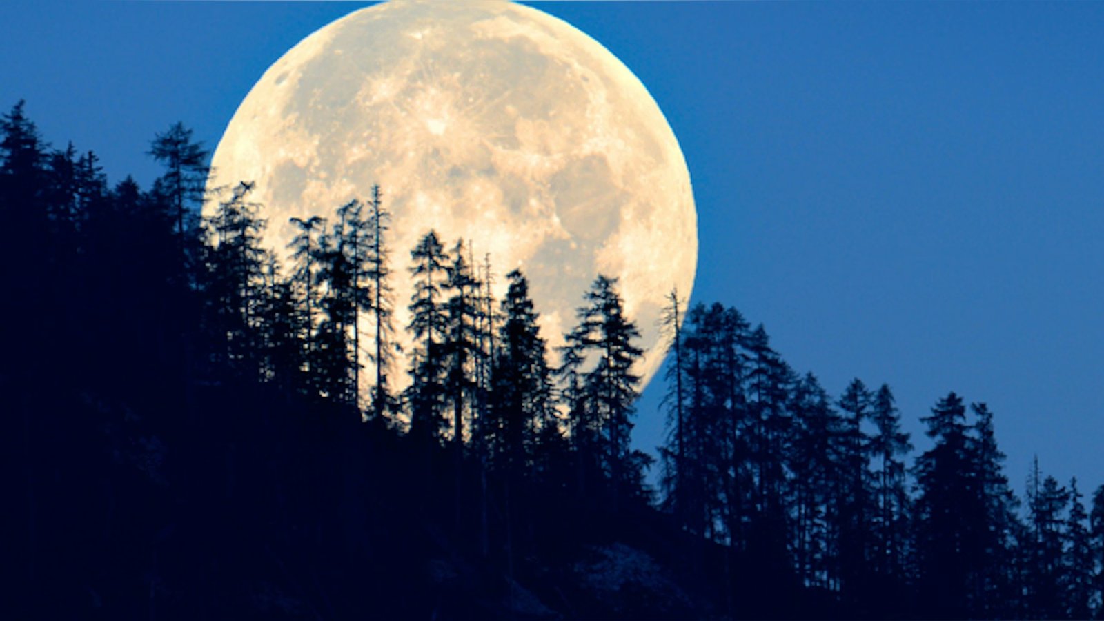 Full Moon Meditation