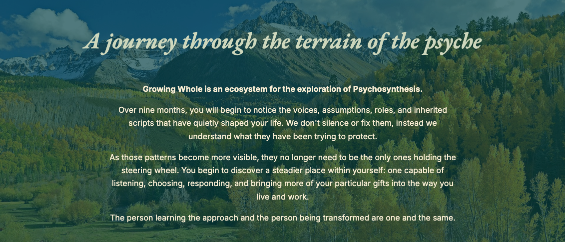 Introduction to Growing Whole – a 9 month Journey of Becoming